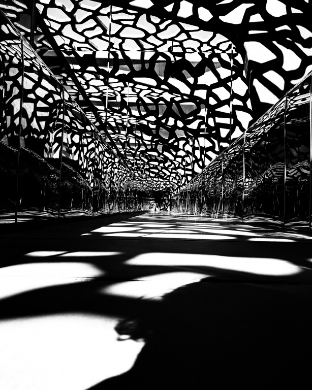 IMG_20190515_223012_228.jpg IMG_20190515_223012_228.jpg